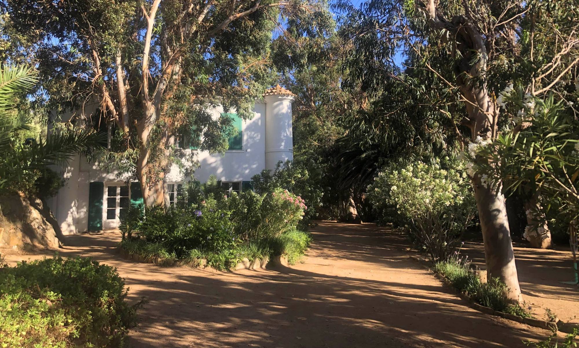 Allée ombragée menant à la façade blanche du Manoir, entourée d'eucalyptus