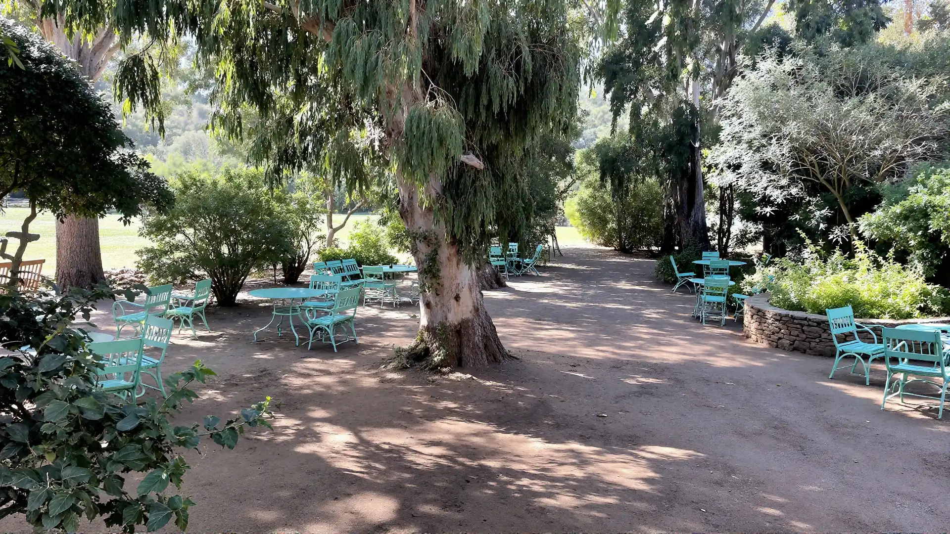 Petit jardin ombragé du Manoir avec mobilier vert d’eau sous les eucalyptus